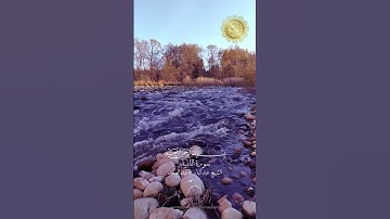 سورة الأنبياء - بصوت القارئ الشيخ عبد الباسط عبد الصمد #explore #explorepage #اكسبلور #راحة_نفسية