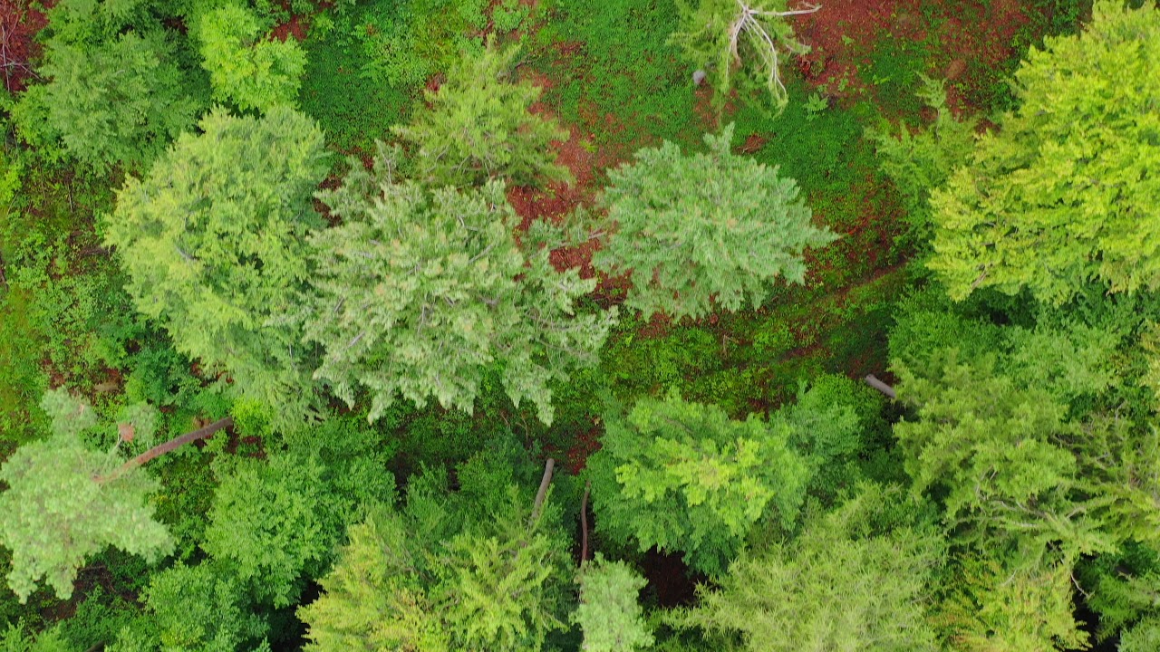 4K - DJI Mavic 2 Pro - Hasselblad - HEVC 10 Bit