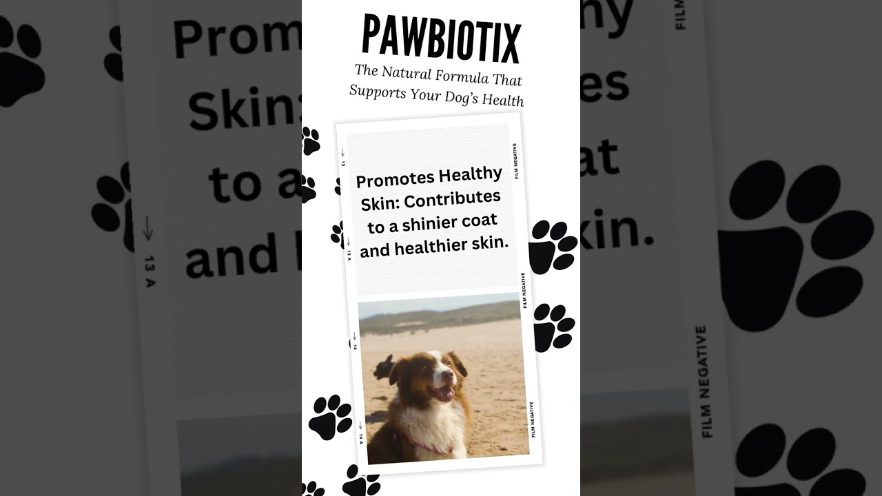 PawBiotix: Healthy Skin