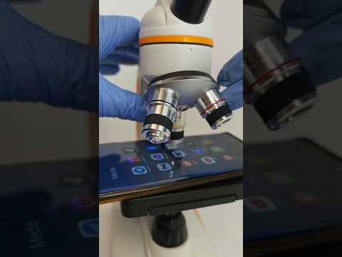 كائنات عايشه في موبايلك بتظهر باليل