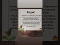 Поистине, есть люди, которые распоряжаются богатством Аллаха неподобающим образом, но…#hadees #ислам