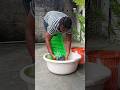 ആഫ്രിക്കയിൽ തുണി കഴുകാൻ വാഷിംഗ് ബോർഡ് ഉപയോഗിക്കുന്നു #liberia #food #africa