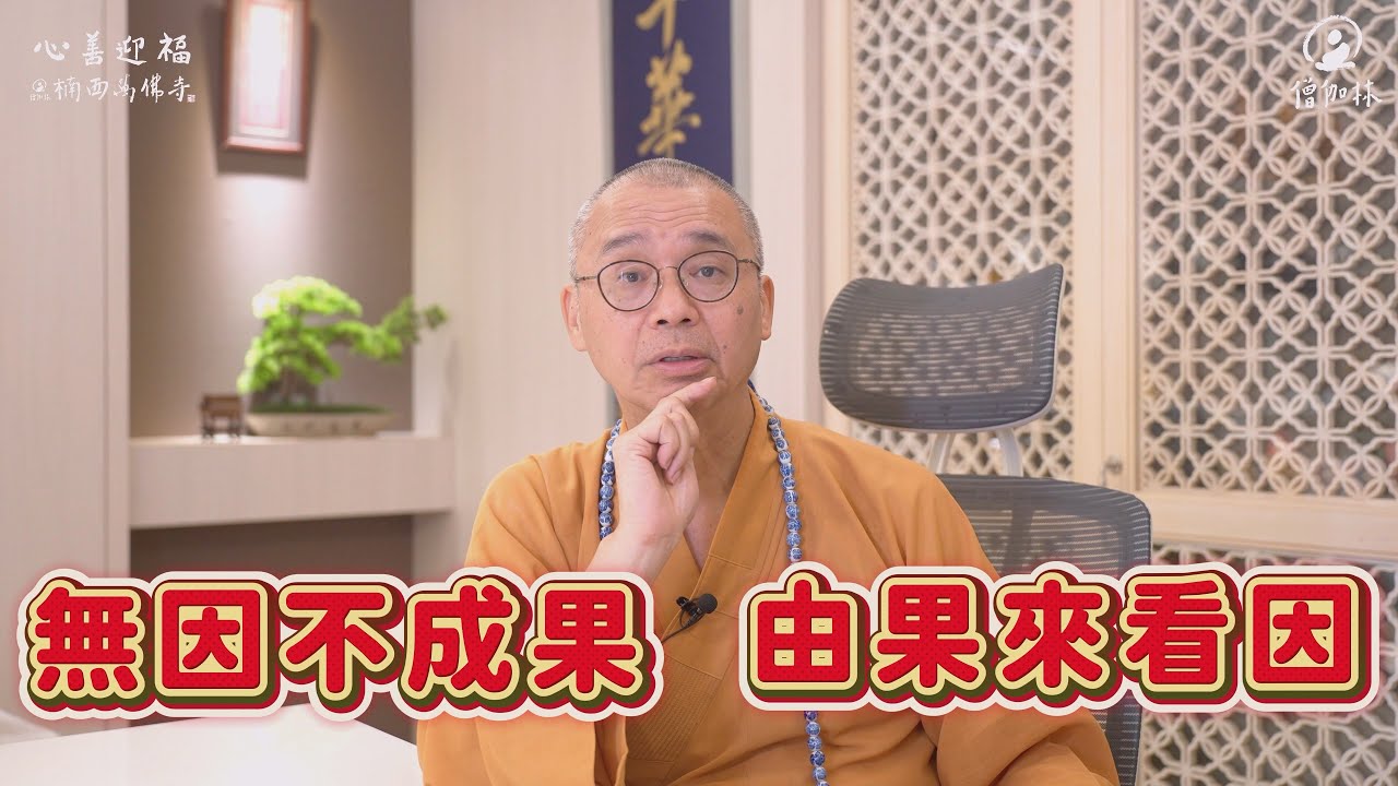 天災人禍是命定嗎？｜無因不成果，但不是不能改 #宿命 #命定 #改命｜藏和尚 不得不信 藏和尚 #EP86