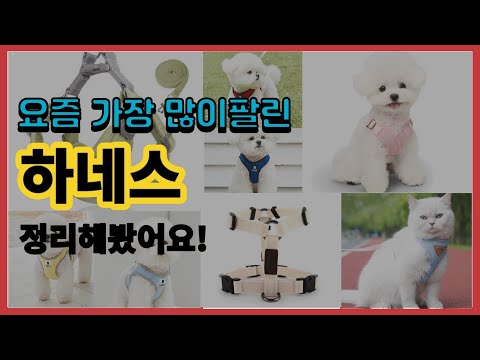 하네스 추천 판매순위 Top10 || 가격 평점 후기 비교
