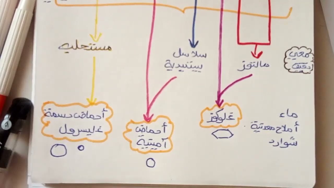 ملخص درس تحولات الاغذية في الانبوب الهضمي  الجزء 02 علوم طبيعية سنة رابعة متوسط  نسخة قديمة