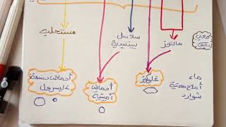 ملخص درس تحولات الاغذية في الانبوب الهضمي  الجزء 02 علوم طبيعية سنة رابعة متوسط  نسخة قديمة