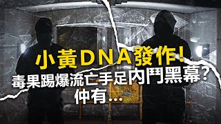 20201221B【小黃DNA發作！】毒果踢爆流亡手足內鬥黑幕？仲有……  |  芒向早晨