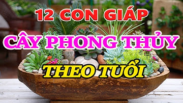 12 CON GIÁP VÀ CÁC CÂY PHONG THỦY THEO TUỔI