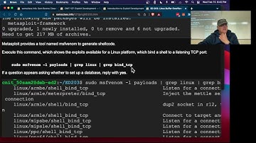 ED 203 Linux Buffer Overflow With Listening Shell