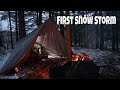 Winter Tarp Shelter Camping in a Snow Storm - Chicken Campfire Cooking - Solo Backcountry Bushcraft