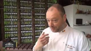 Line Of Cocoa Is Chocolate Snorting Safe?