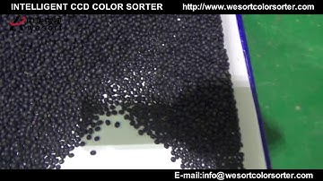 Beans Color Sorter, Sorting high quality black beans