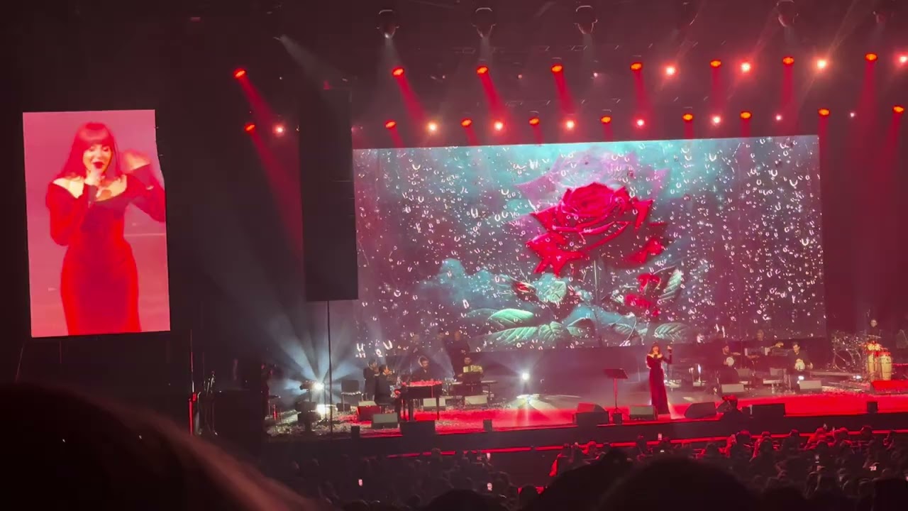 عبير نعمة - ودعت الليل - حفلة عيد الحب باريس