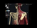 Basic anatomy and function of trapezius