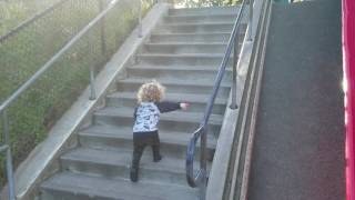 Beau goes down another slide in Santa Cruz 12-27-16