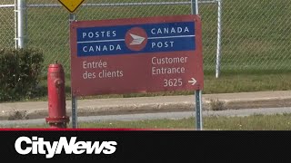 Local business braces for impact amid looming Canada Post strike