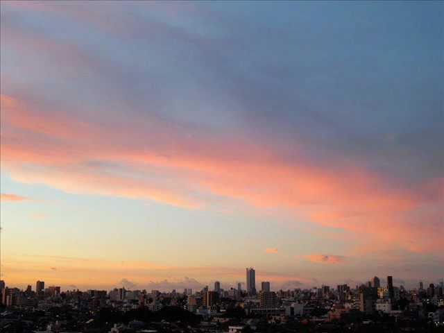 Watch 【cover】 椿屋四重奏 「 共犯 」 by 111tsubaki ( kyouhan _ tsubakiya ) on YouTube Watch 【cover】 椿屋四重奏 「 共犯 」 by 111tsubaki ( kyouhan _ tsubakiya ) on YouTube