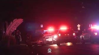 Four Dead in Apartment Complex Shooting in Albuquerque thumbnail
