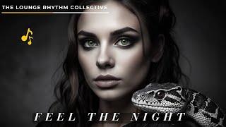 Feel The Night original Mix Deep House Beats 