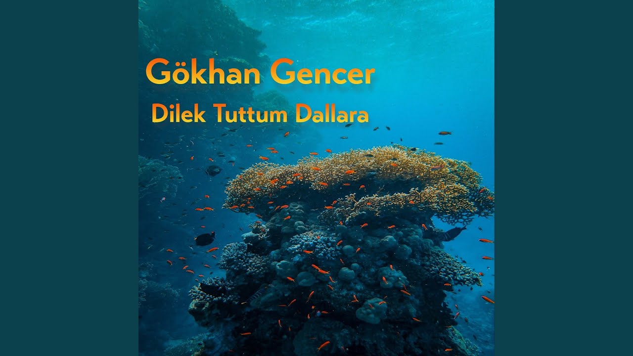 Dilek Tuttum Dallara