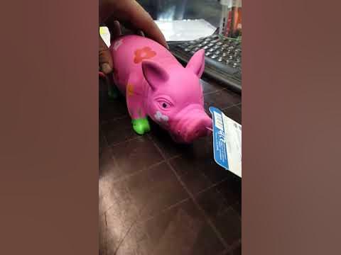 Свин - YouTube