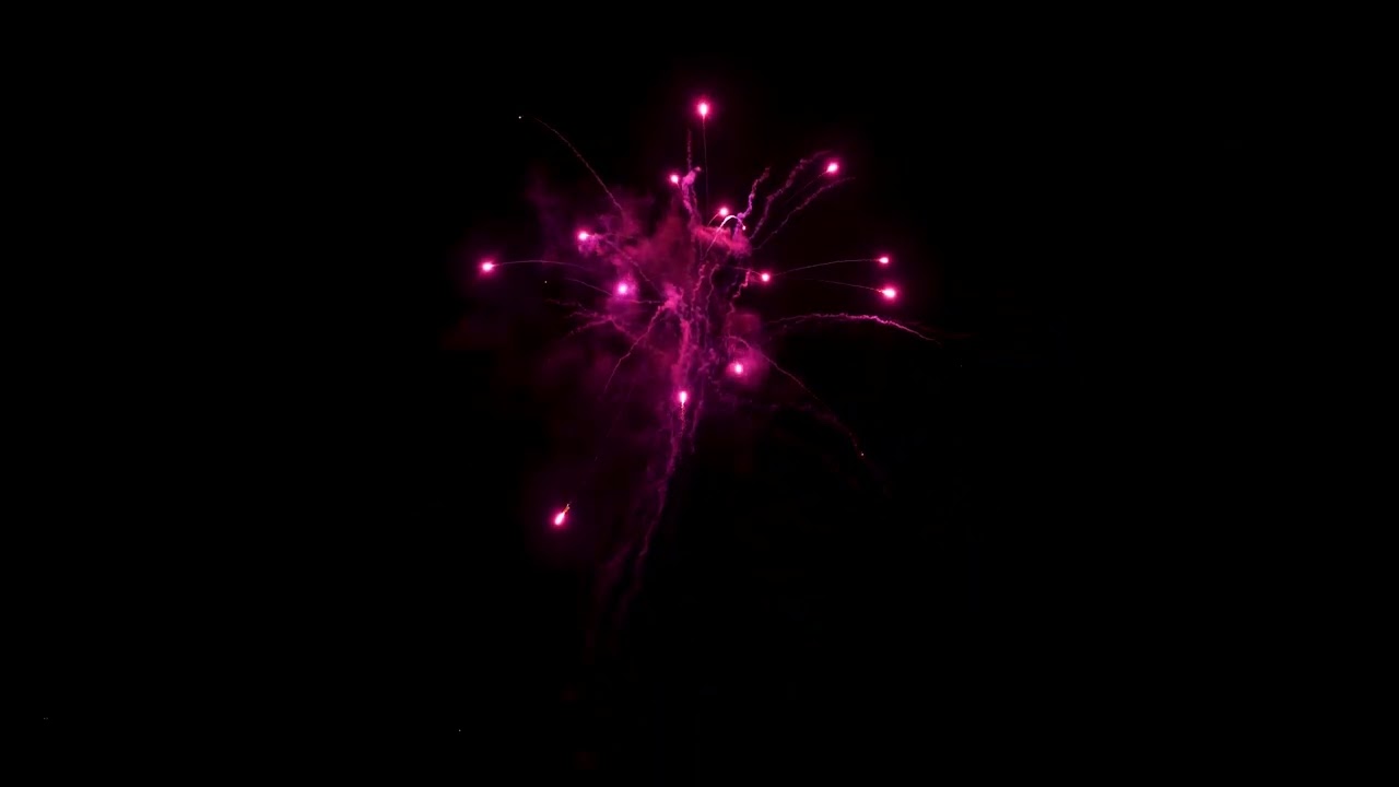 MS1019-0125 - 16sh Purple Xette (22sec)