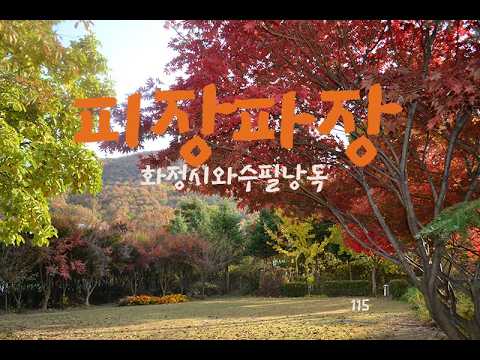 피장파장#오디오북#시와수필#시와수필낭독#화정시와수필낭독