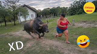 VIDEOS DE RISA 🤣 SI TE RÍES PIERDES NIVEL DIOS #807 😎HUMOR VIRAL MEXICANO🤣