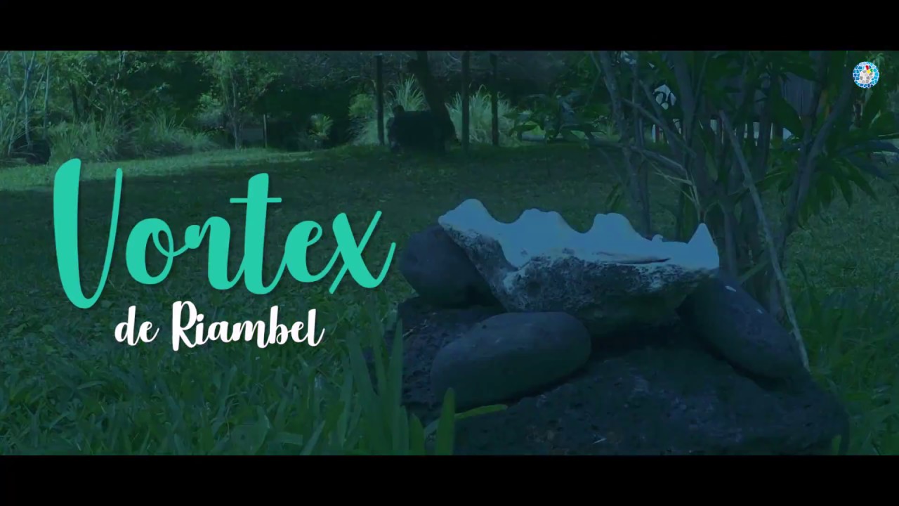 Mauritius - Vortex de Riambel (Mozaik)