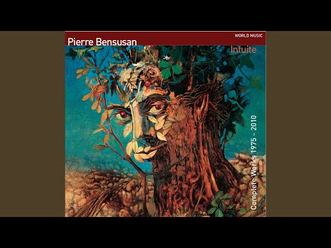 Pierre Bensusan - Silent Passenger (To Allen Greenall)
