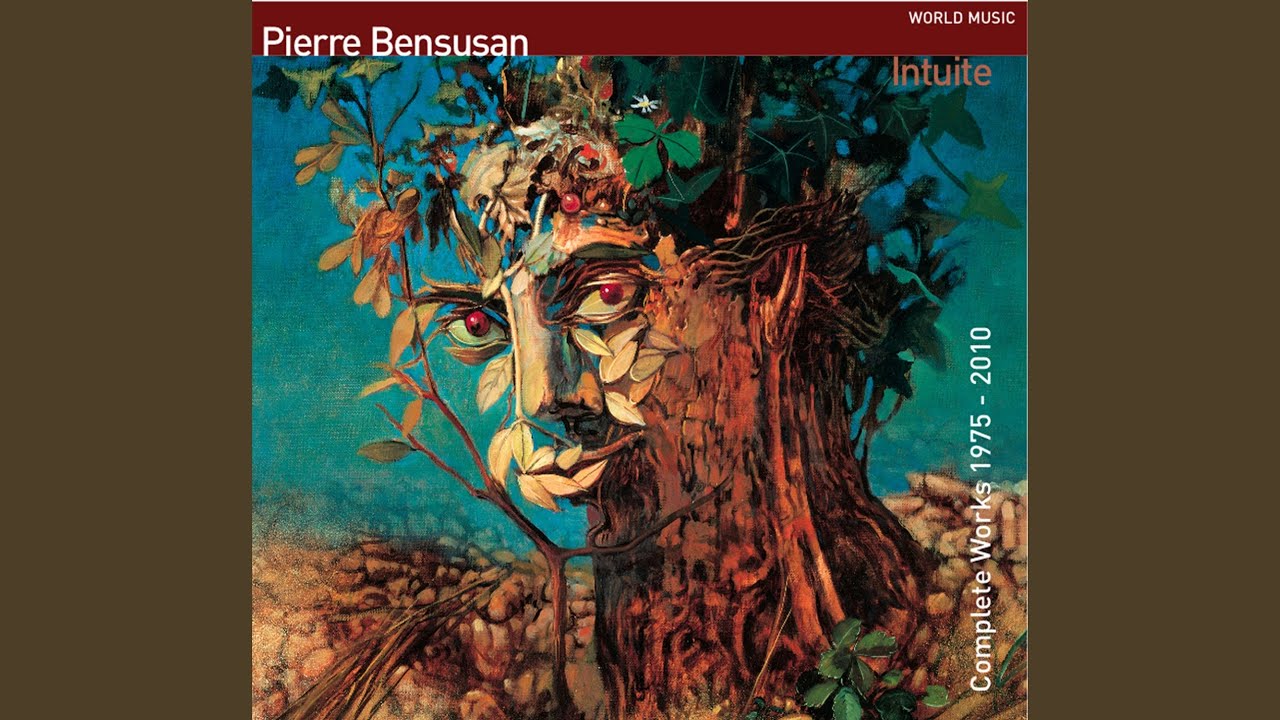 美しいアコギが聴きたいならコレ！□Pierre Bensusan / Intuite