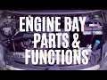 Engine Bay Parts & Basic Functions - Toyota Wigo, Ayla, Agya. Perodua Axia