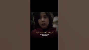 تِلاوة - بصوت الشّبل معاذ الصيداوي #تلاوة_خاشعة