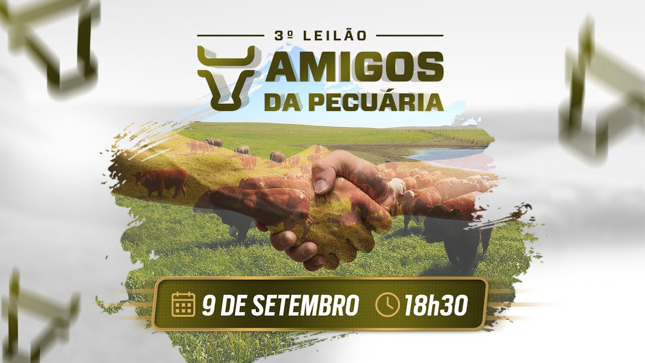 3º Leilão Amigos da Pecuária - AO VIVO