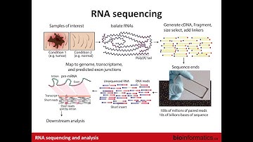 Introduction to RNA Sequencing
