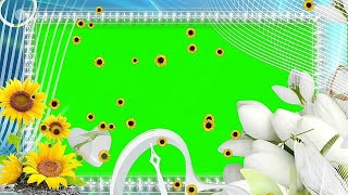 Wedding Green Screen Effects 148 Beautiful New Frame Green Colour Background Photo Frame