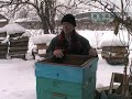 пчеловодство на Алтае