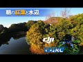 朝の紅葉と水辺をCINELOG35とDJI ACTION2で撮ってみた！