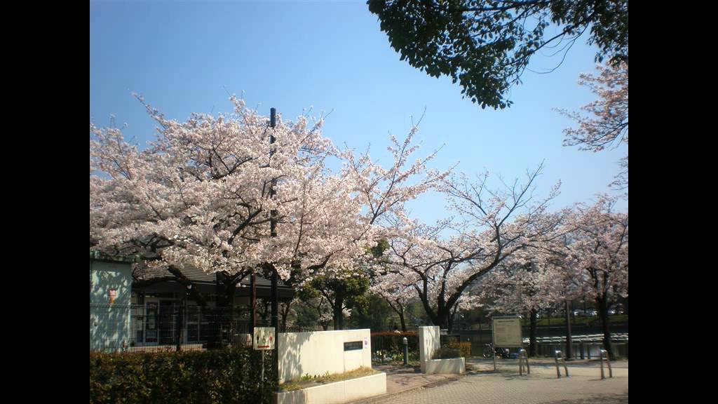 みんなのうた　クマのぬいぐるみ