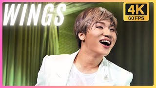 4K 60FPS] D-LITE - WINGS (JP. ver.) @ D'scover Tour 2013 in Japan