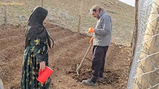In the heart of the mountains;  are these seeds the beginning of a new life for Ahmad and Farideh? screenshot 3