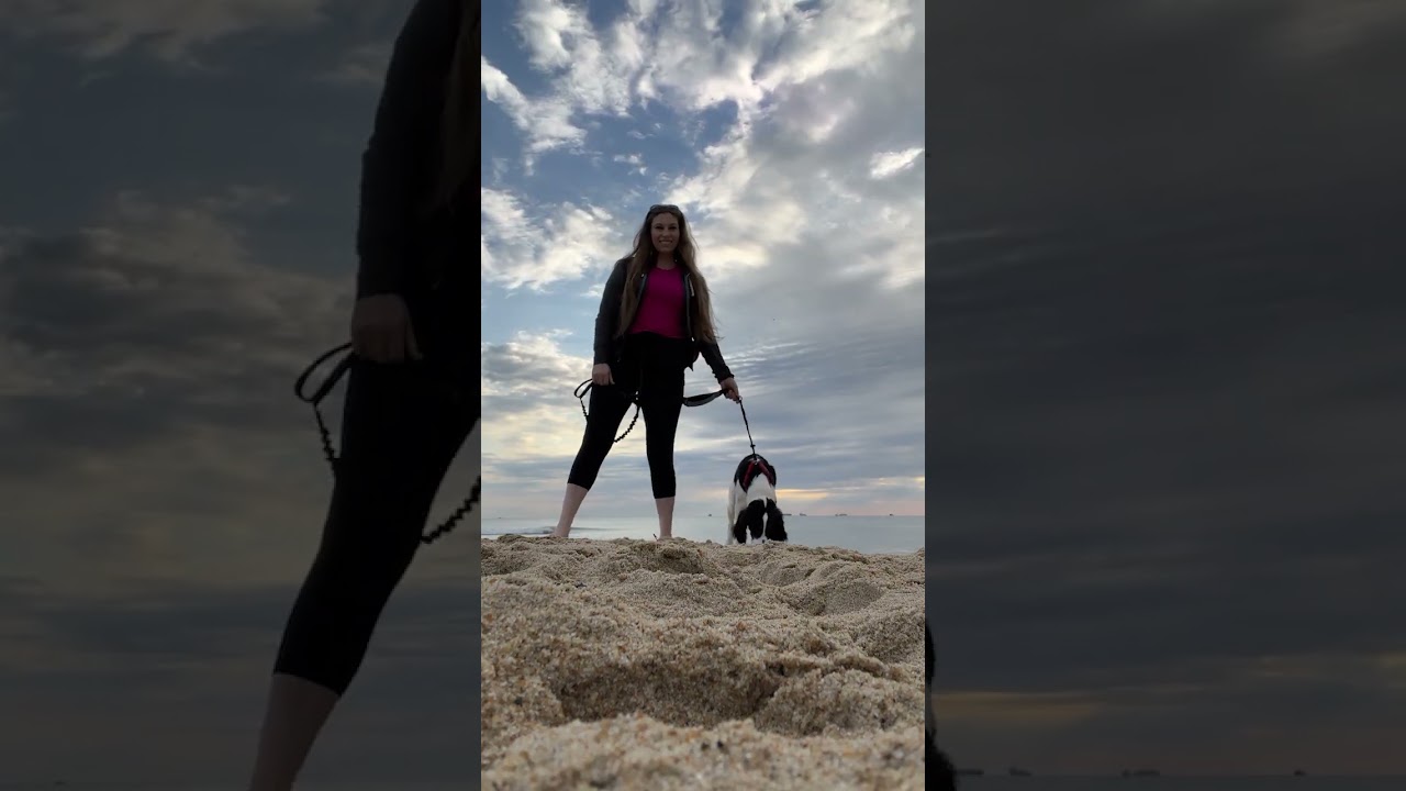 Easy Beach Content Idea With Your Dog
