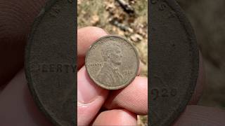 Finding two OLD wheat pennies!