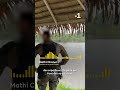 Orpaillage illégal en Guyane : à Camopi, les habitants se mobilisent