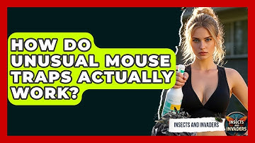 How Do Unusual Mouse Traps Actually Work? - Insects and Invaders