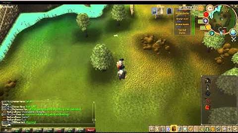 Runescape 10/25 Update Flickering Issue - MacBook Pro OS X 10.6.8 V2