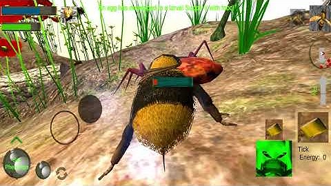 Bee Nest Simulator 3D - Insect and 3d animal game Android Gameplay