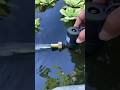 Mini water pump really work #shorts #creative