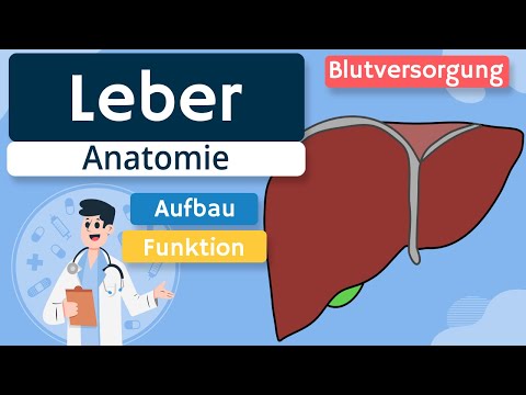 Video: Wer führt eine Leberoperation durch?