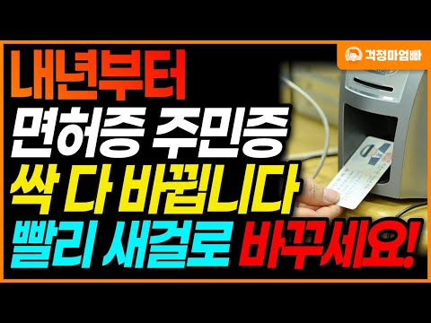 내년부터 면허증 싹 다 바뀝니다 빨리 새 걸로 발급받으세요 